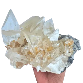 Naica Selenite Cluster #296