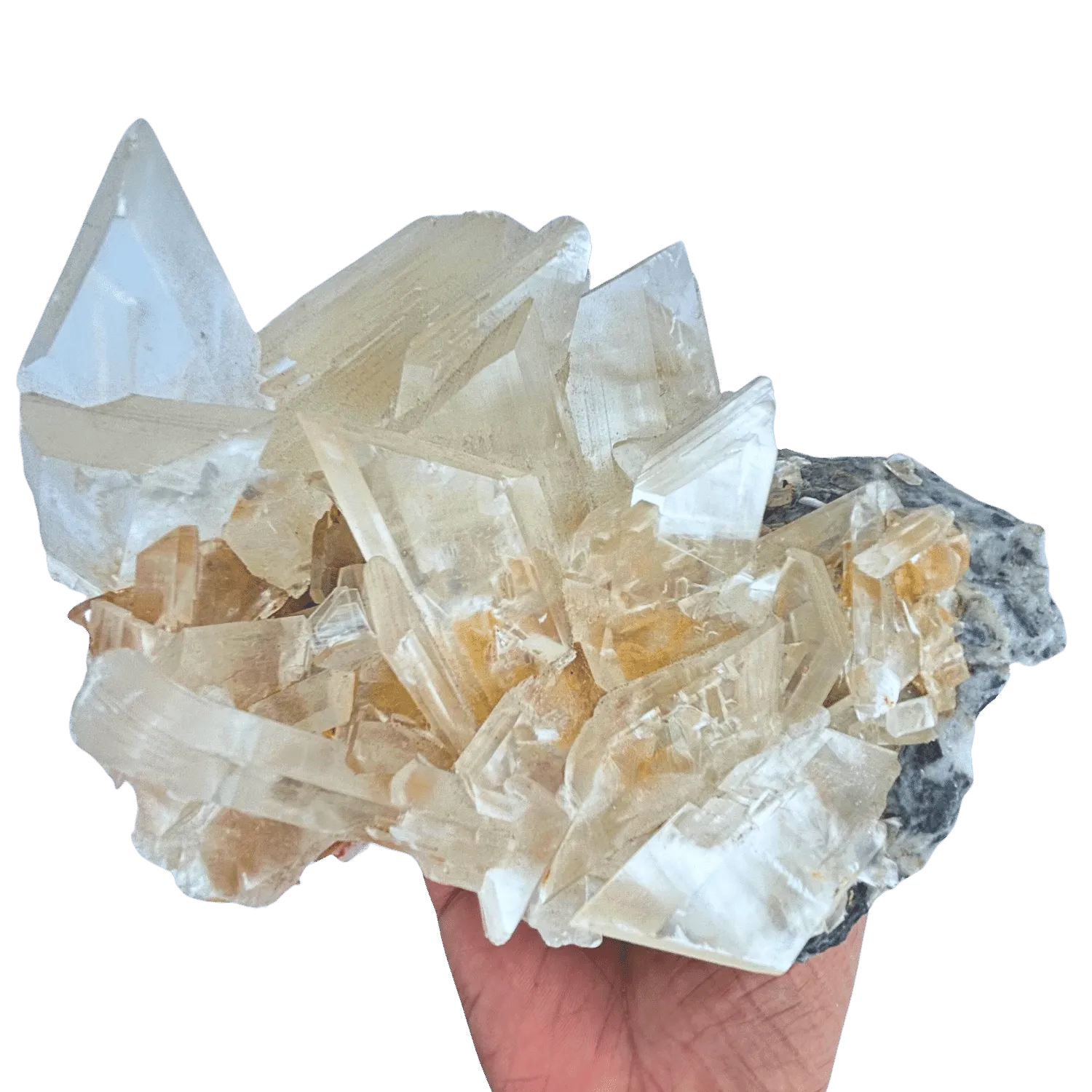 Naica Selenite Cluster #296