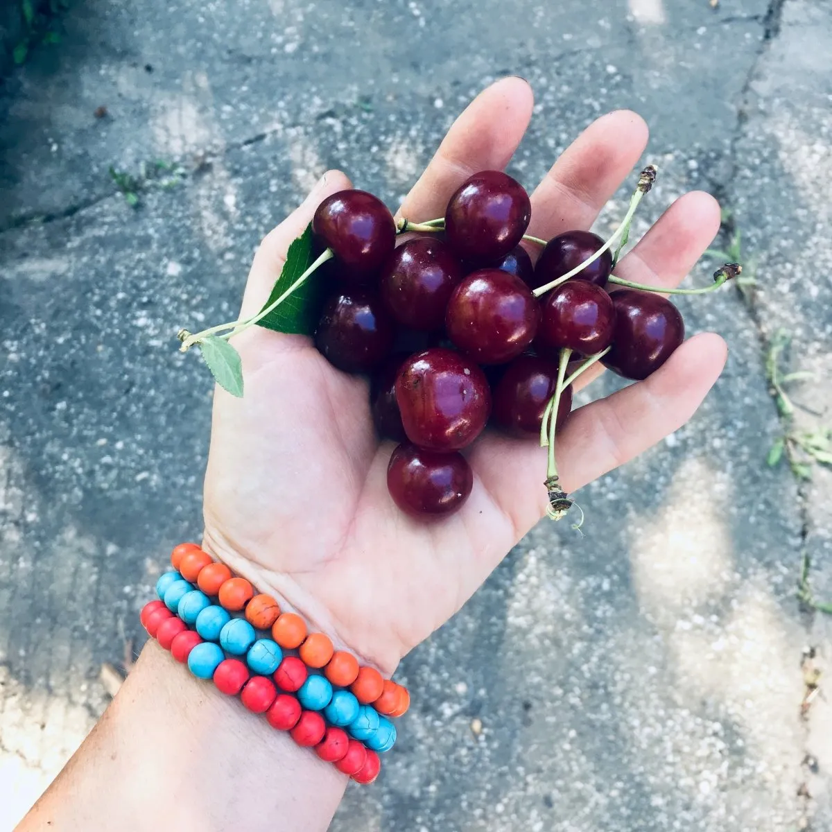 Red Wanderlust Turquoise Howlite Mala Bracelet